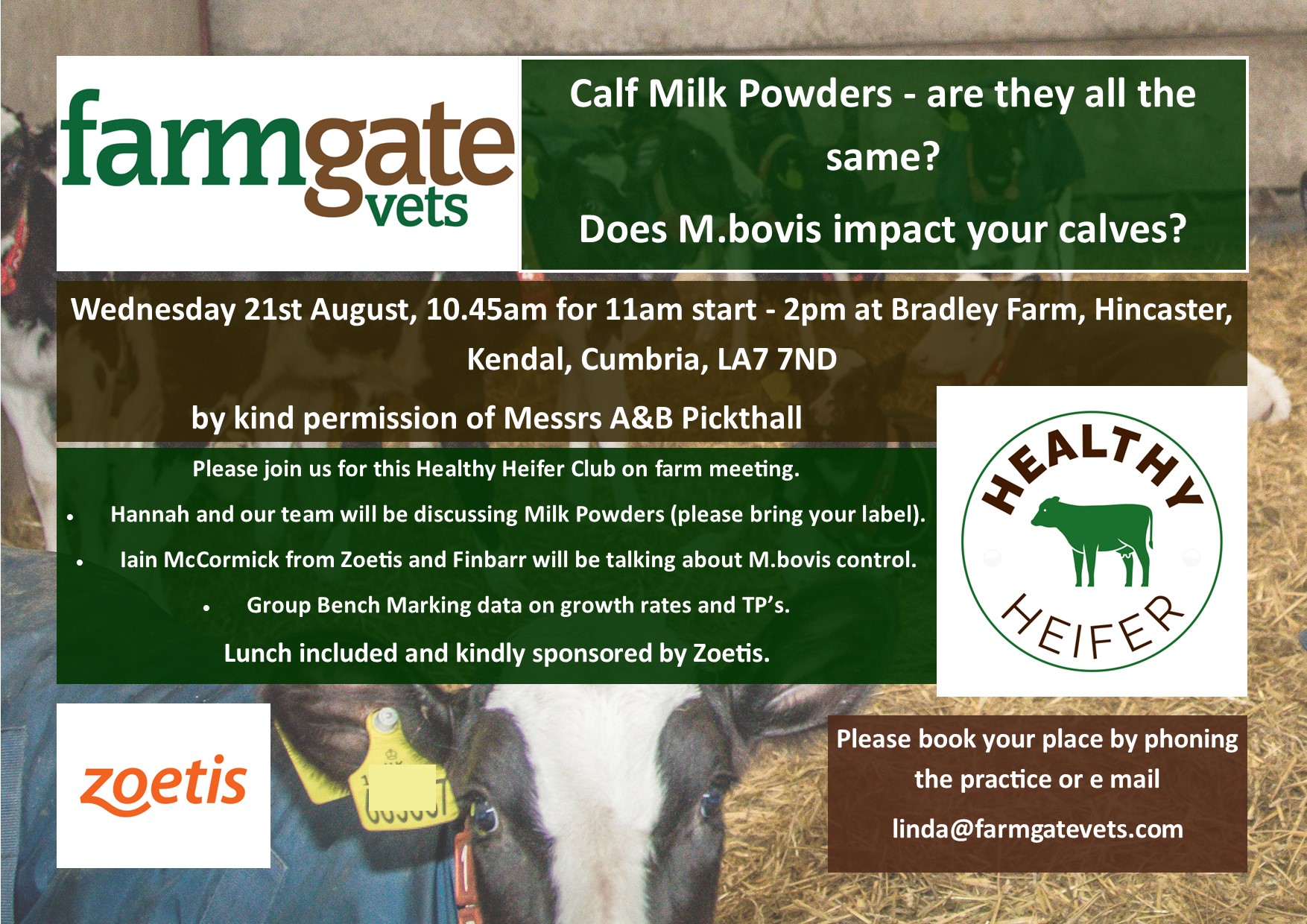 Calf Milk Powders, are they all the same?  Does M.bovis impact your herd?